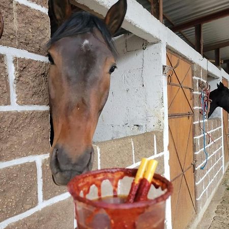 ホテル Vive En Un Rancho プエブラ エクステリア 写真