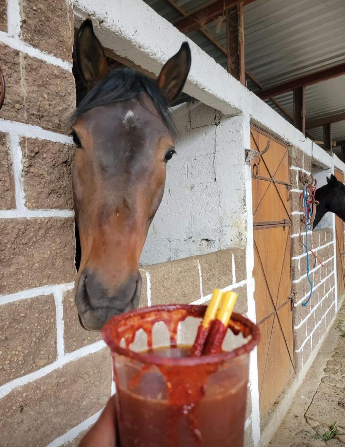 ホテル Vive En Un Rancho プエブラ エクステリア 写真